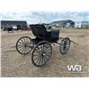 Image 3 : DEMOCRAT HORSE BUGGY