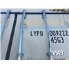 Image 14 : 2022 8 X 40 FT. SHIPPING CONTAINER