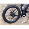 Image 4 : ELECTRIC FAT TIRE BICYCLE