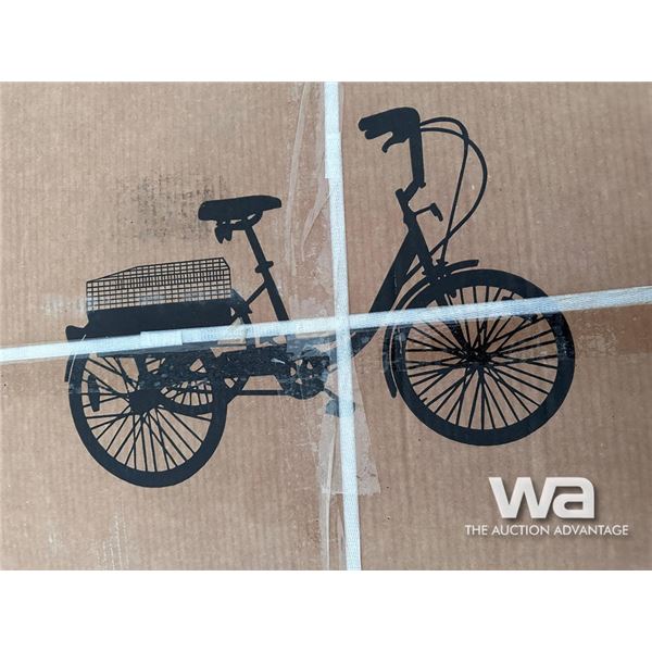 TRICYCLE WITH BASKET