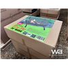 Image 3 : OUTDOOR FIRE PIT