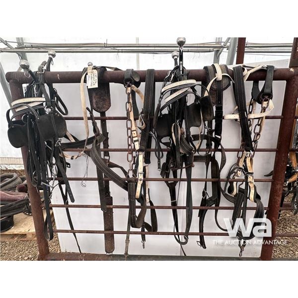 SET OF NYLON HARNESSES WITH BRIDLES & LINES