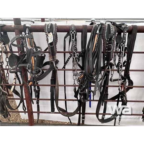 SET OF NYLON HARNESSES WITH BRIDLES & LINES