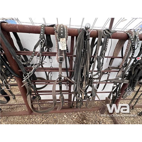 SET OF NYLON HARNESSES WITH BRIDLES & LINES