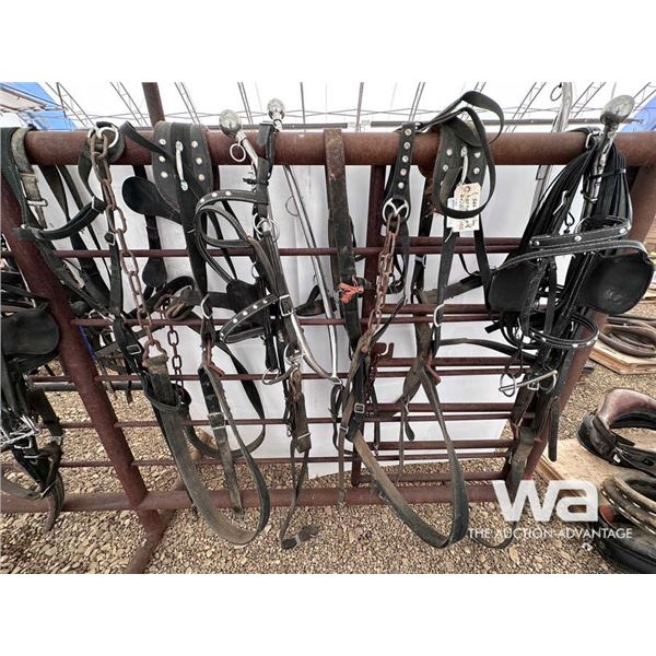 SET OF NYLON HARNESSES WITH BRIDLES & LINES