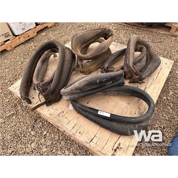 (8) HORSE COLLARS