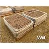 Image 4 : (2) PALLETS OF LANDSCAPE BRICK