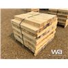 Image 2 : (70) POPLAR PIPELINE SKIDS