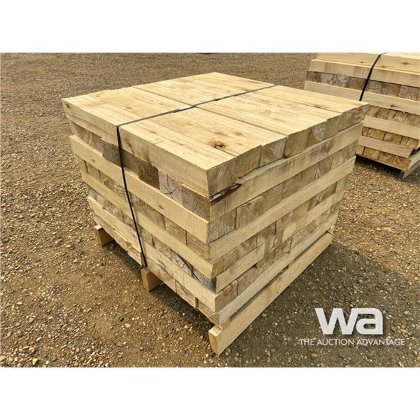 (64) POPLAR PIPELINE SKIDS