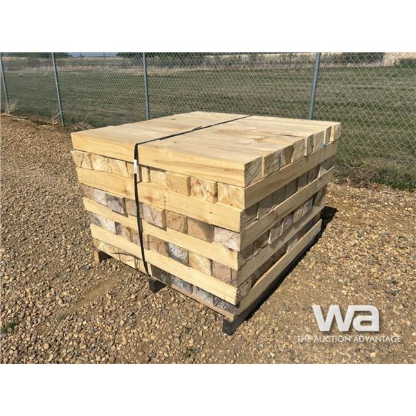 (64) POPLAR PIPELINE SKIDS