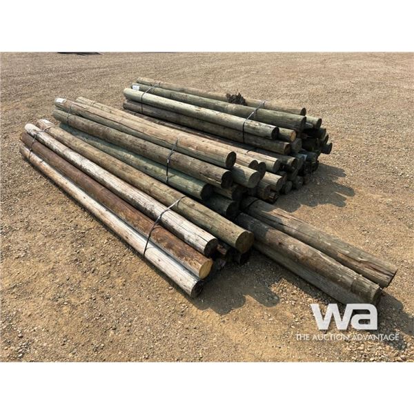 (61) 6-8 IN. X 10-16 FT. TREATED POSTS & POLES