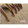 Image 7 : BRANDT 72 IN. EXCAVATOR BRUSH RAKE