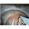 Image 4 : WESTEEL-ROSCO 19 FT. 4 RING 3300 +/- BUS GRAIN BIN