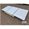 Image 3 : (40) 7.5 X 3 FT. STEEL SIDING