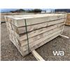 Image 4 : (48) 6X6X8 FT. POPLAR TIMBERS