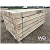 Image 2 : (48) 6X6X8 FT. POPLAR TIMBERS