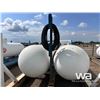Image 6 : PROPANE SKID WITH (2) 1000 GAL. PROPANE TANKS