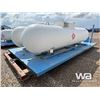 Image 3 : PROPANE SKID WITH (2) 1000 GAL. PROPANE TANKS