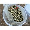 Image 6 : (2) 60 FT. 3/8 GRADE TRANSPORT CHAIN PAIL