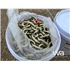 Image 6 : (2) 60 FT. 3/8 GRADE TRANSPORT CHAIN PAIL
