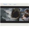 Image 1 : Jaws 2 signed movie photo