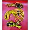 Image 1 : Extension Cord Lot