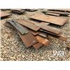 Image 5 : MISC. PLATE STEEL