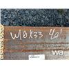 Image 3 : W10X33 40FT. LENGTH