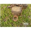 Image 6 : T/A PUP DUMP TRAILER