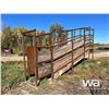 Image 3 : CUSTOM HD LIVESTOCK LOADING CHUTE