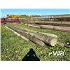 Image 3 : POWER POLES & PIECES