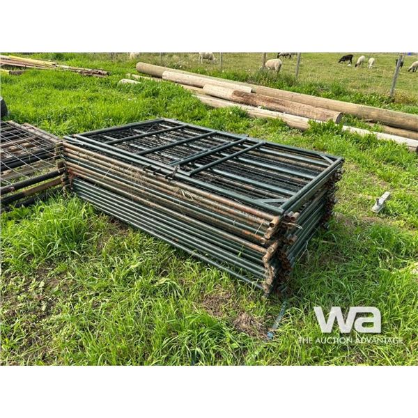 STEEL SHEEP PANELS
