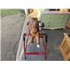 Image 4 : RADIO FLYER SPRING HORSE