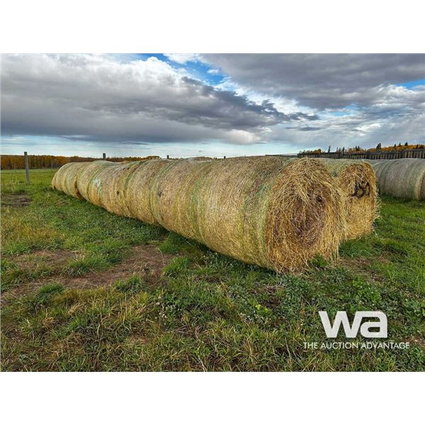 (35+/-) 2023 GREEN FEED BALES