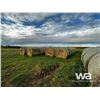 Image 2 : (35+/-) 2023 GREEN FEED BALES