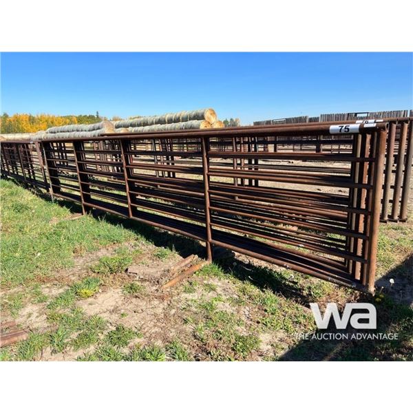 (5) LIVESTOCK 24 FT. FREESTANDING 5 BAR PANELS