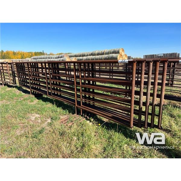 (5) LIVESTOCK 24 FT. FREESTANDING 5 BAR PANELS