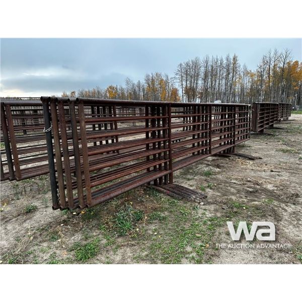 (5) LIVESTOCK 24 FT. FREESTANDING 5 BAR PANELS
