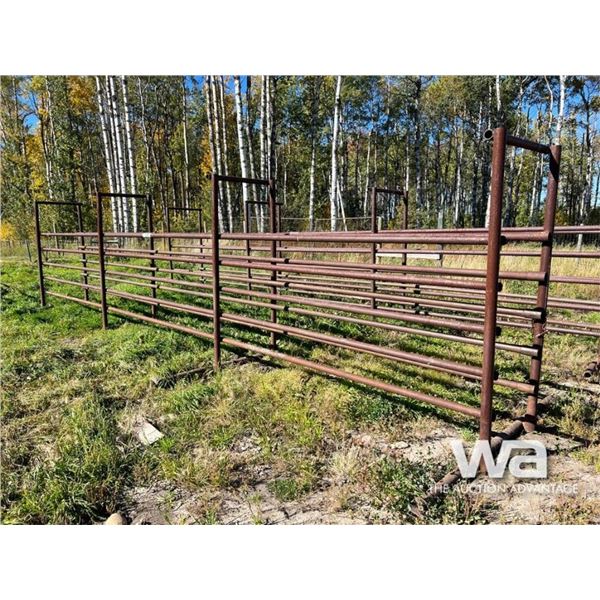 FREE STANDING STEEL LIVESTOCK ALLEY
