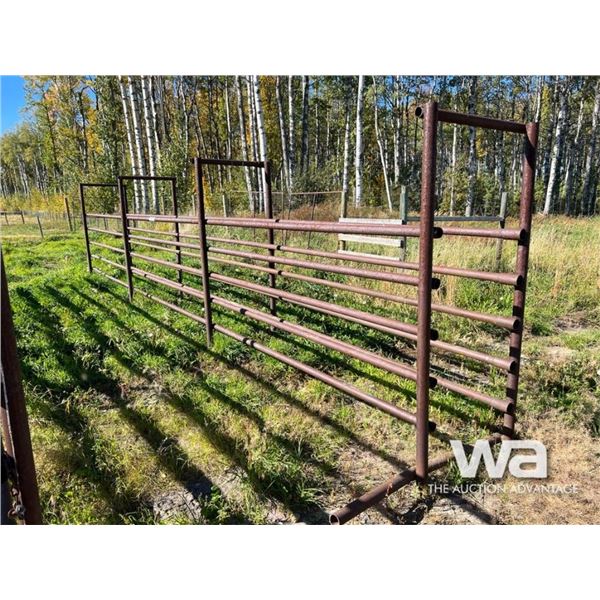 FREE STANDING STEEL LIVESTOCK ALLEY