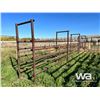 Image 2 : FREE STANDING STEEL LIVESTOCK ALLEY
