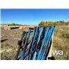 Image 5 : (10) 10 FT. LIVESTOCK PANELS