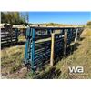 Image 4 : (10) 10 FT. LIVESTOCK PANELS
