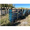 Image 4 : (10) 10 FT. LIVESTOCK PANELS