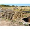 Image 2 : TREATED FENCE POSTS