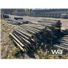 Image 3 : TREATED FENCE POSTS