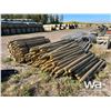 Image 4 : TREATED FENCE POSTS