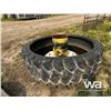 Image 2 : CUSTOM BUILT TIRE WATERING BOWL