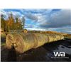 Image 2 : (16+/-) 2023 HAY BALES