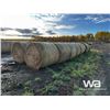Image 4 : (16+/-) 2023 HAY BALES